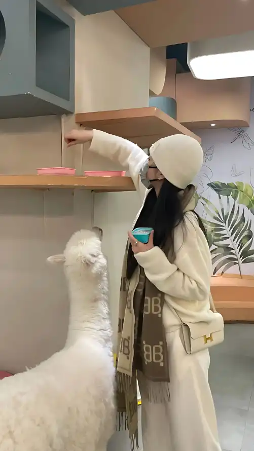亚洲午夜福利精品久久_众赢平台app下载_久久中文精品无码中文字幕